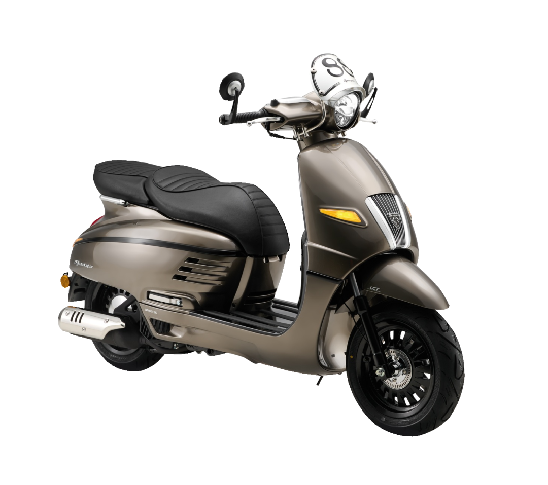 Django Cafe Racer Lichen grey (1).png