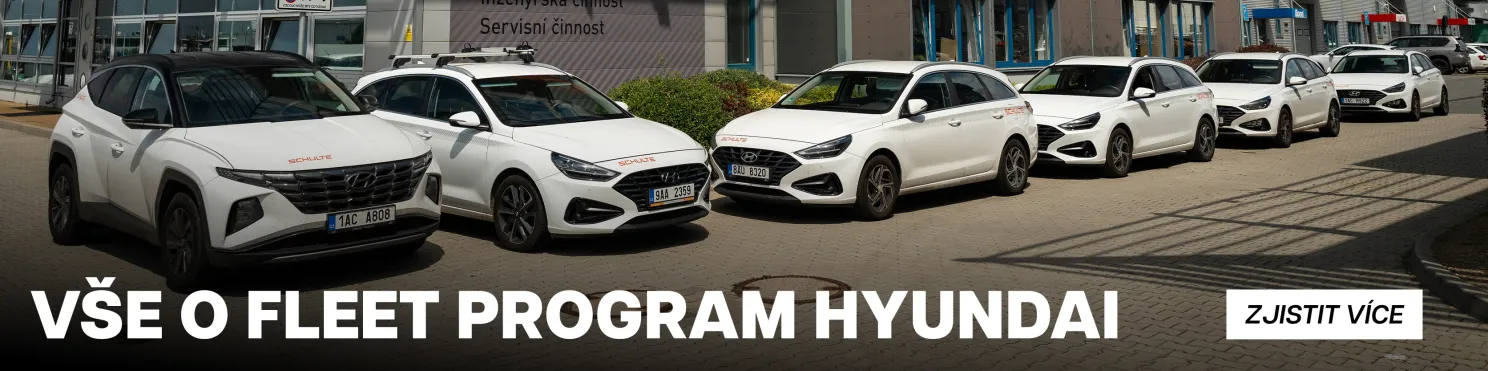 Fleet program Hyundai Lenner Motors
