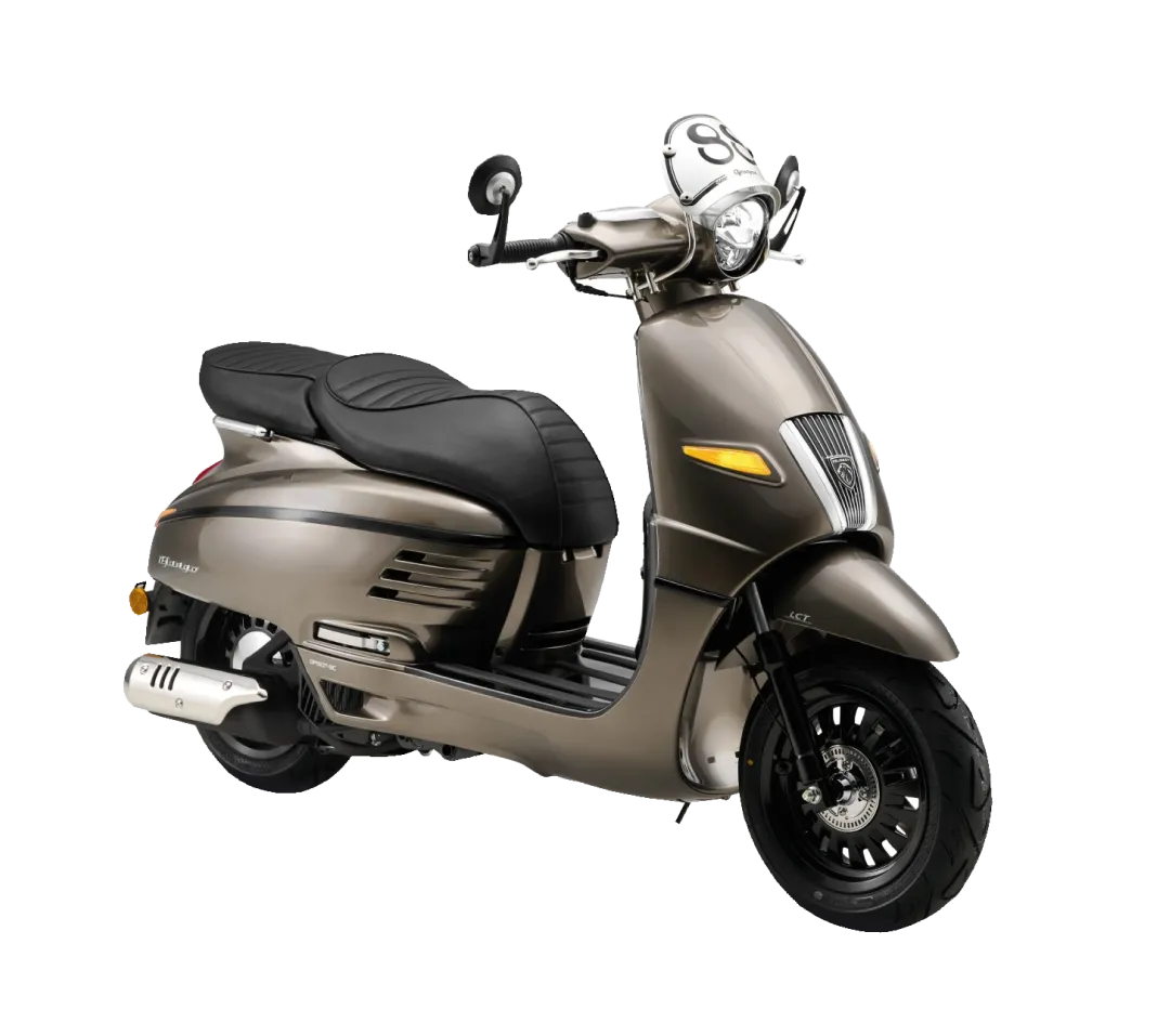 Django Cafe Racer Lichen grey (1).png