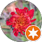 recenze Sedm Set - Lenner Motors