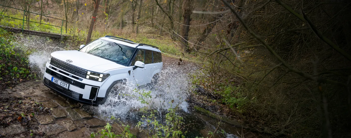 Hyundai SANTA FE - Lenner Motors