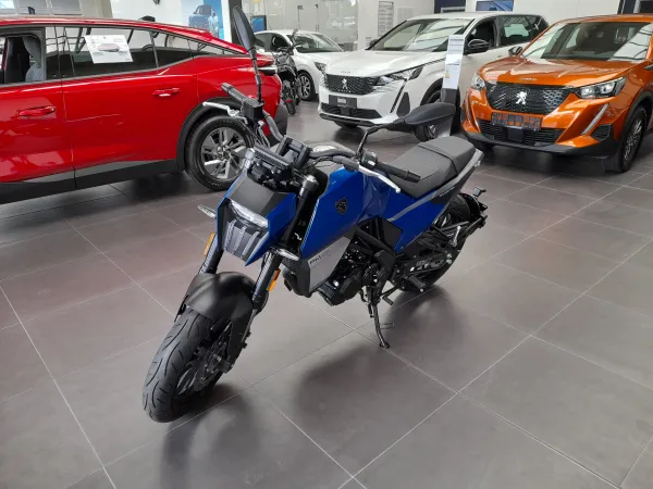 Peugeot PM-01- Lenner Motors