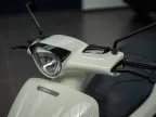 Peugeot Django- Lenner Motors