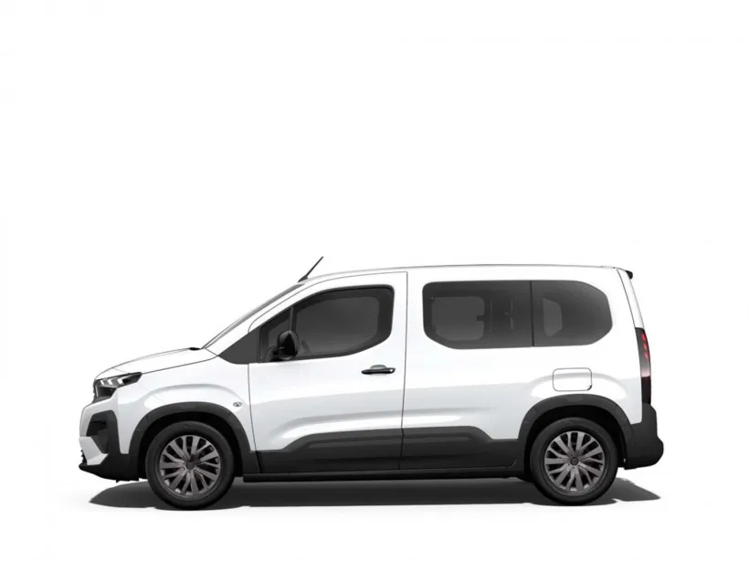 Osobní Peugeot Rifter #58456
